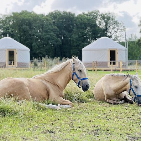 Magnolia Hoeve - Unieke Bestemming Voor Paardenliefhebbers En Bijzondere Overnachtingen In De Natuur Ledeacker Kültér fotó