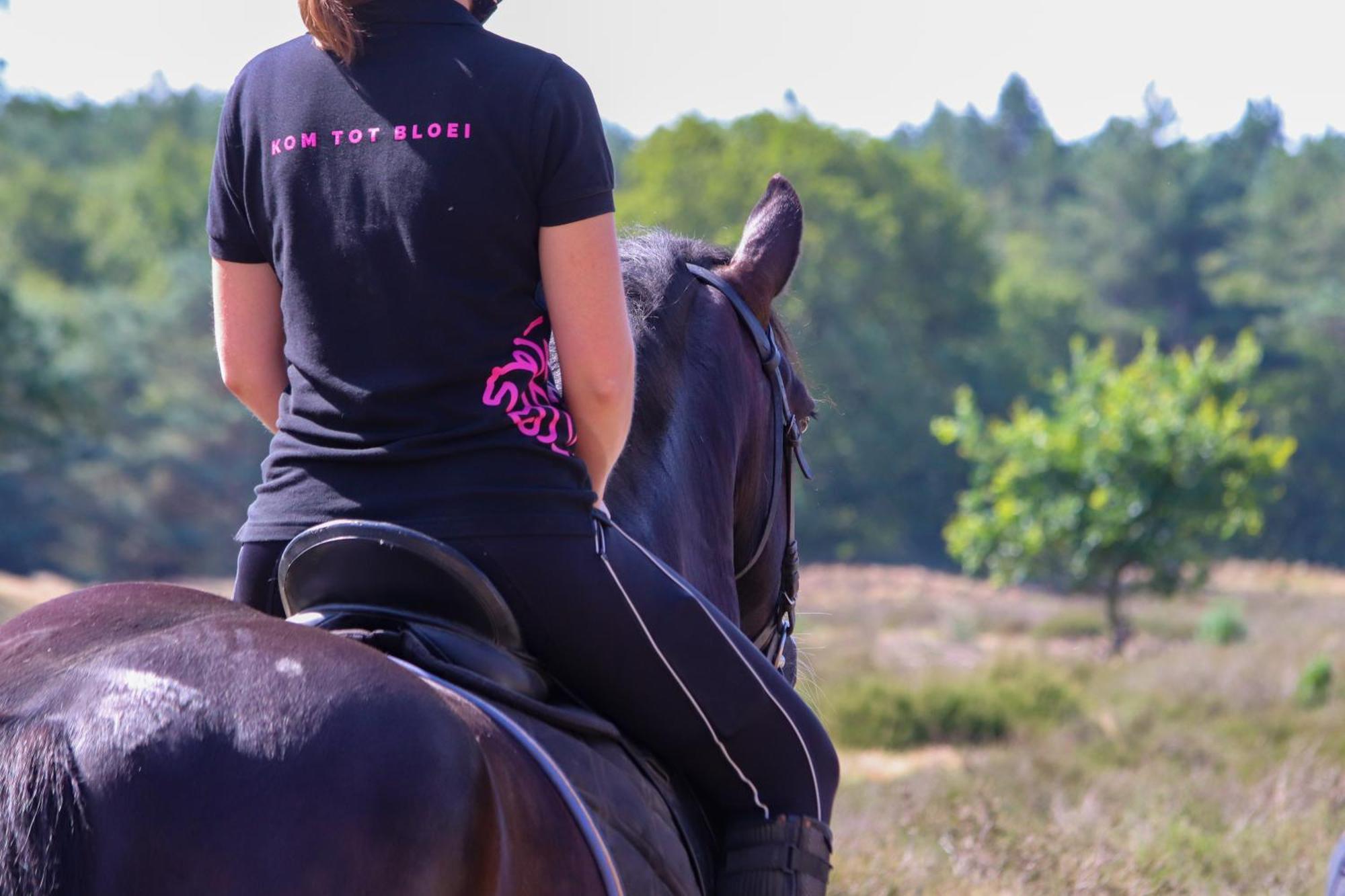 Magnolia Hoeve - Unieke Bestemming Voor Paardenliefhebbers En Bijzondere Overnachtingen In De Natuur Ledeacker Kültér fotó
