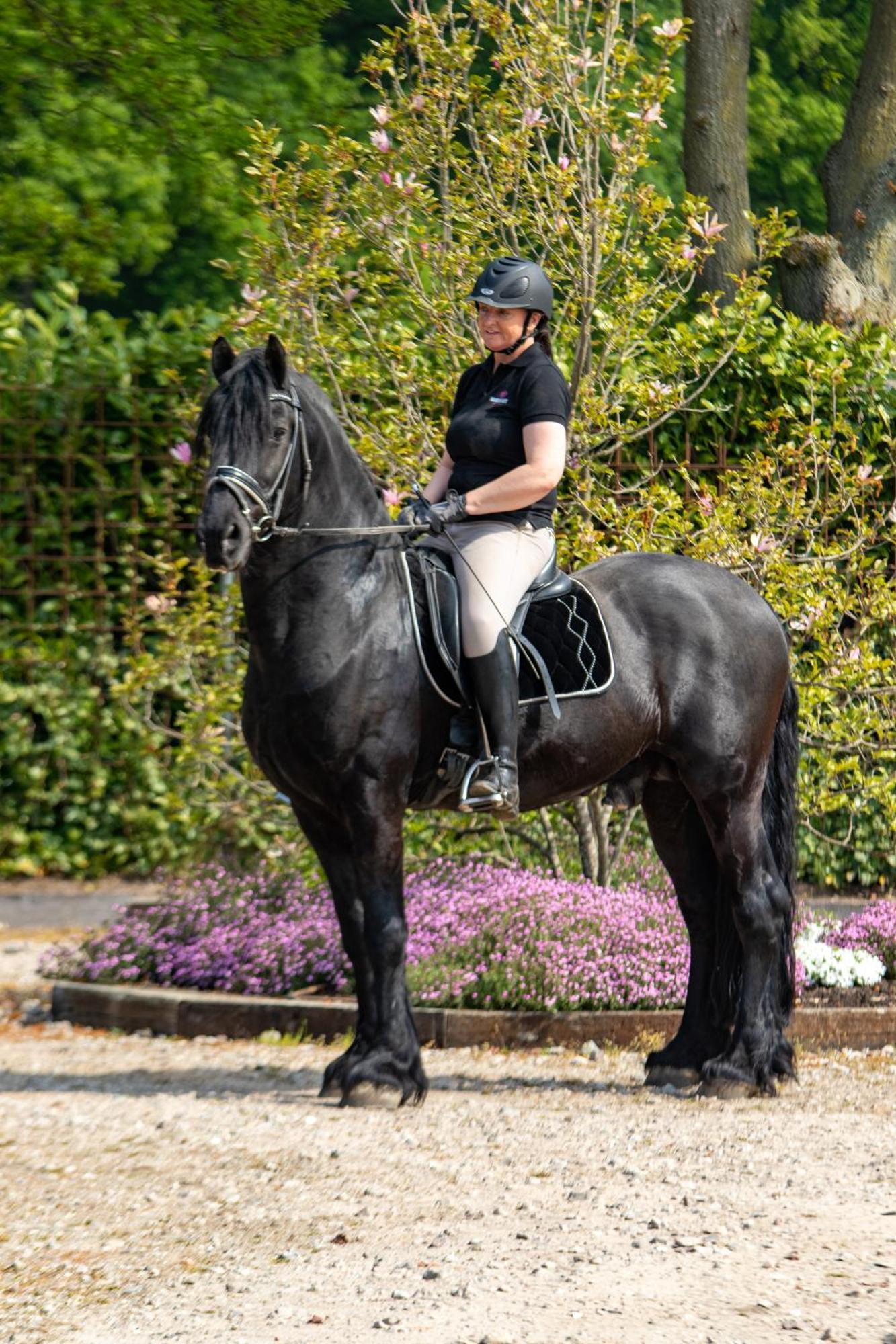 Magnolia Hoeve - Unieke Bestemming Voor Paardenliefhebbers En Bijzondere Overnachtingen In De Natuur Ledeacker Kültér fotó