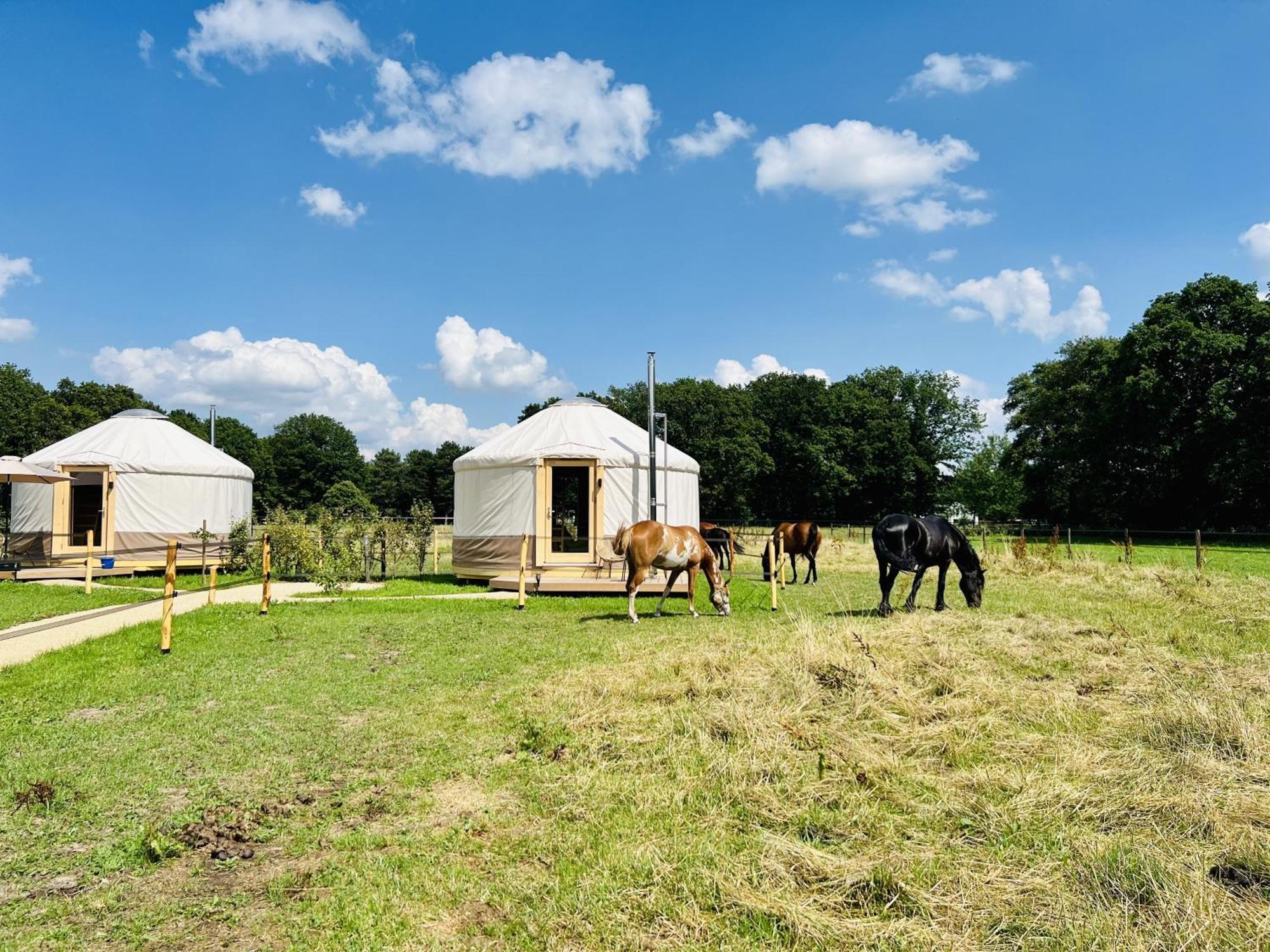 Magnolia Hoeve - Unieke Bestemming Voor Paardenliefhebbers En Bijzondere Overnachtingen In De Natuur Ledeacker Kültér fotó