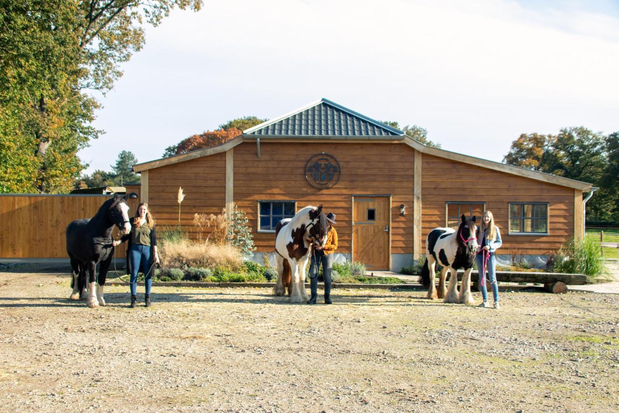 Magnolia Hoeve - Unieke Bestemming Voor Paardenliefhebbers En Bijzondere Overnachtingen In De Natuur Ledeacker Kültér fotó
