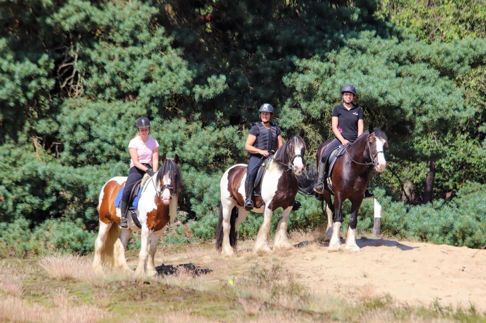 Magnolia Hoeve - Unieke Bestemming Voor Paardenliefhebbers En Bijzondere Overnachtingen In De Natuur Ledeacker Kültér fotó