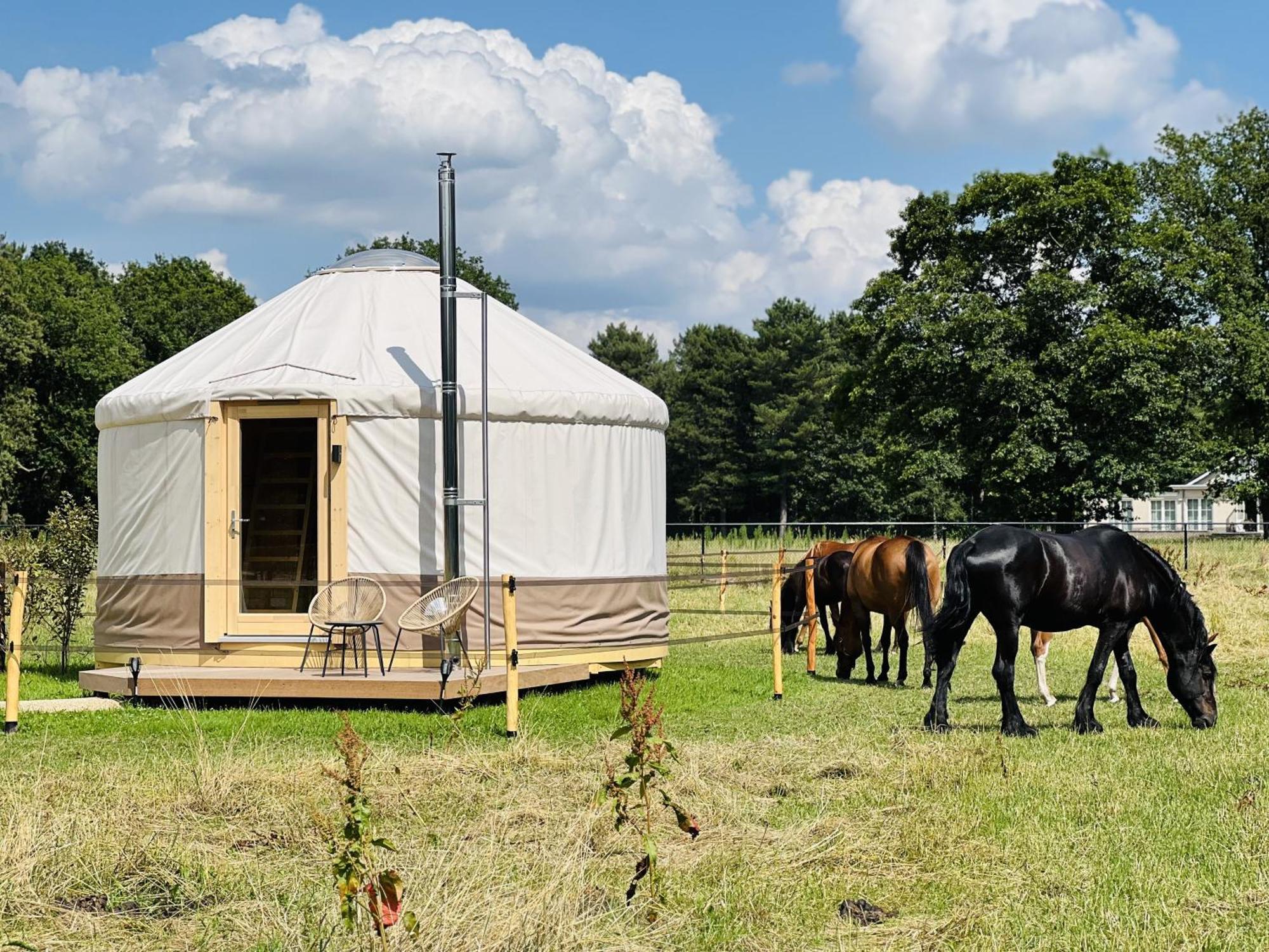 Magnolia Hoeve - Unieke Bestemming Voor Paardenliefhebbers En Bijzondere Overnachtingen In De Natuur Ledeacker Kültér fotó