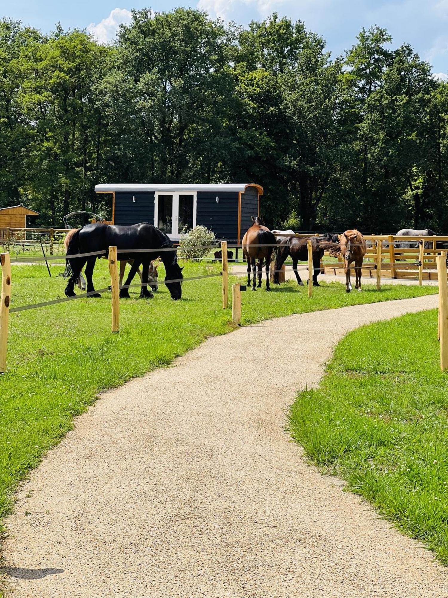 Magnolia Hoeve - Unieke Bestemming Voor Paardenliefhebbers En Bijzondere Overnachtingen In De Natuur Ledeacker Kültér fotó