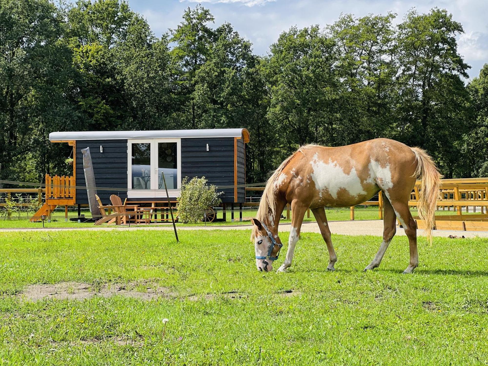 Magnolia Hoeve - Unieke Bestemming Voor Paardenliefhebbers En Bijzondere Overnachtingen In De Natuur Ledeacker Kültér fotó