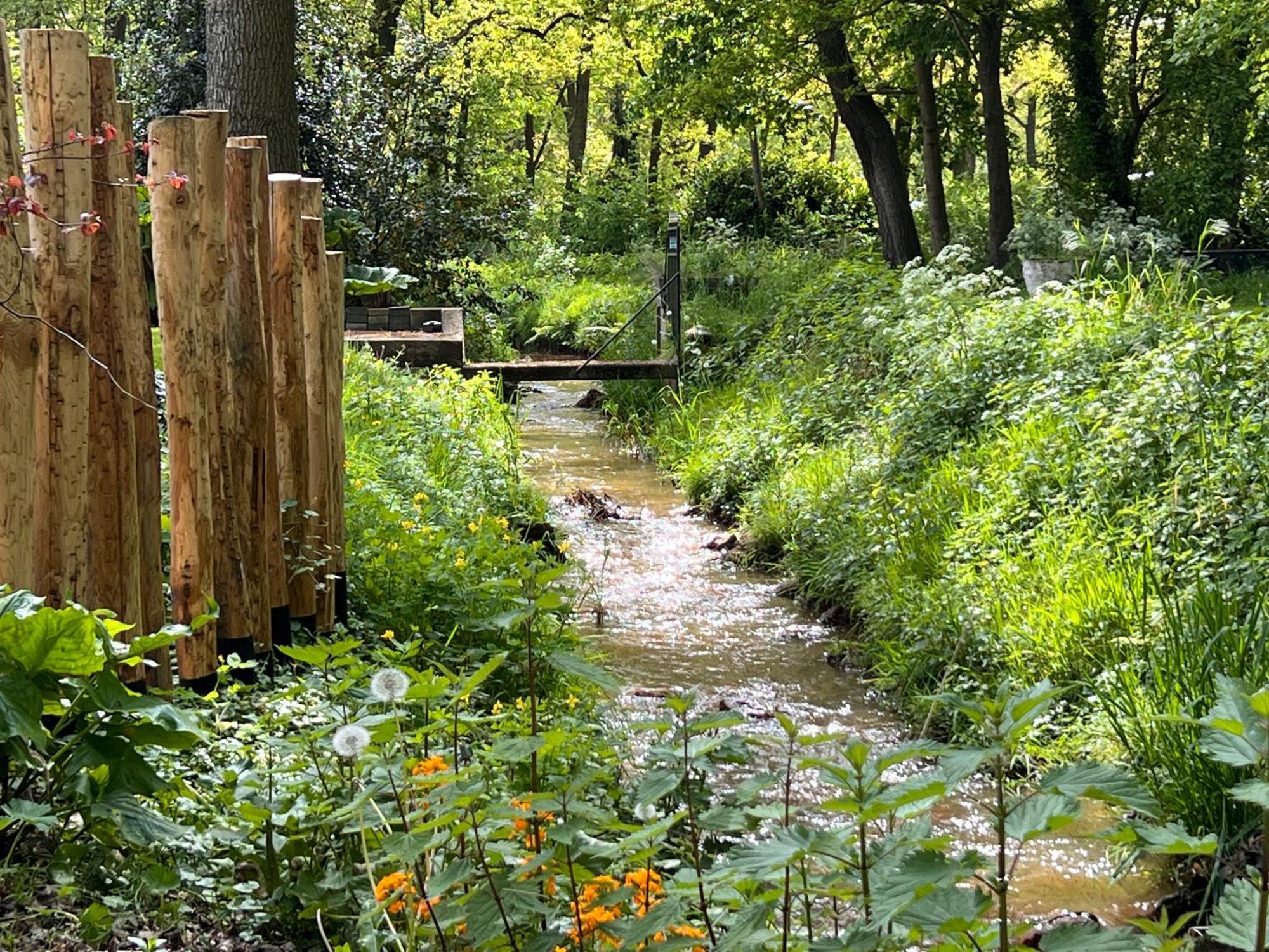 Magnolia Hoeve - Unieke Bestemming Voor Paardenliefhebbers En Bijzondere Overnachtingen In De Natuur Ledeacker Kültér fotó